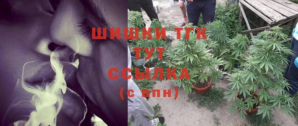 Альфа ПВП Богородск