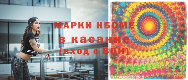 твердый Богданович