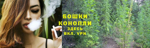 соль ск Бронницы