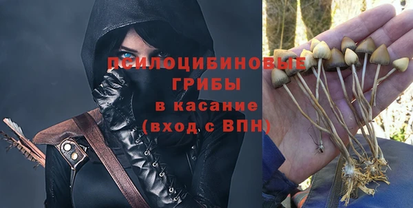 Альфа ПВП Богородск