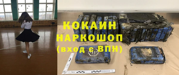твердый Богданович