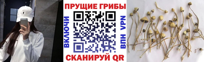 Галлюциногенные грибы прущие грибы как найти Новочебоксарск